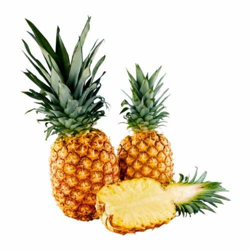 Anana piece g a dakar senegal chez tagrih