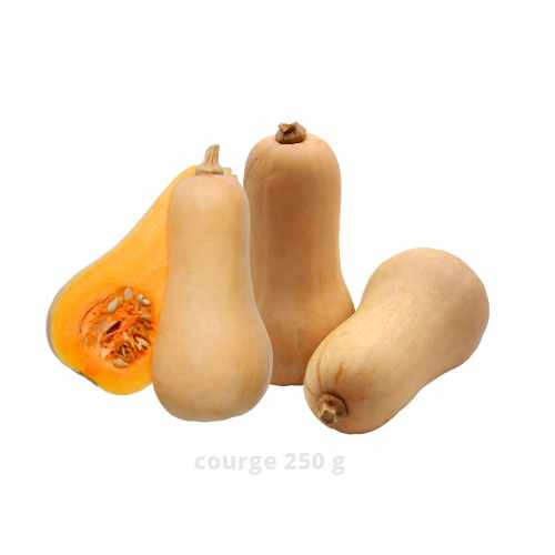 Courge 500 g a dakar senegal chez tagrih