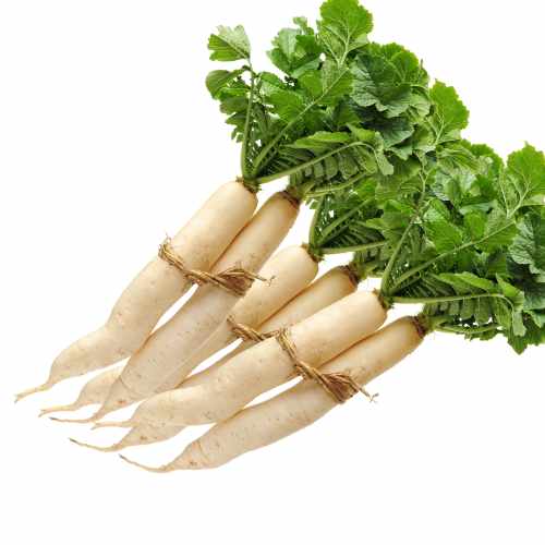 Navet 500 g a dakar senegal chez tagrih