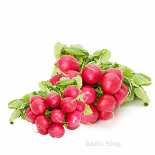 Radis 500 g a dakar senegal chez tagrih