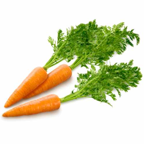 carotte 500 g a dakar senegal chez tagrih