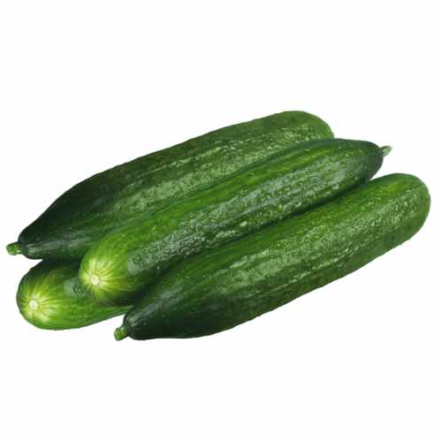 concombre 500 g a dakar senegal chez tagrih