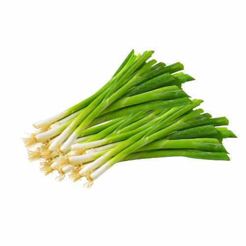 oignon vert 500g a dakar senegal chez tagrih