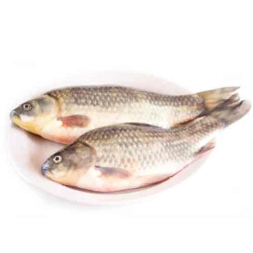 poisson carpe grise dakar senegal chez tagrih