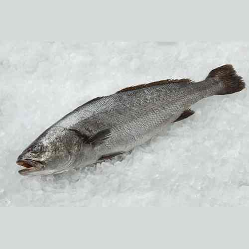 poisson courbine dakar senegal chez tagrih