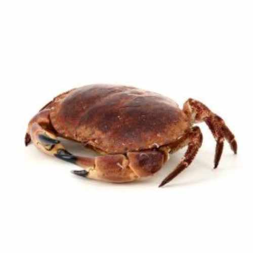 Crabe entier dakar senegal chez tagrih