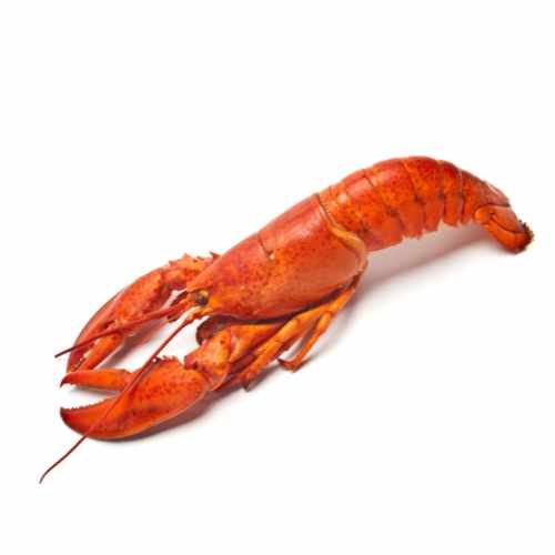 Gambas cameron dakar senegal chez tagrih