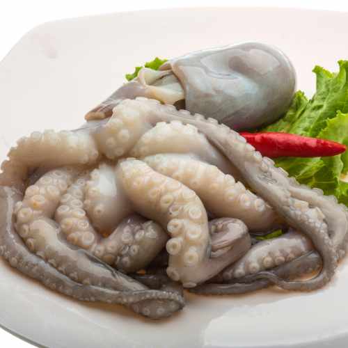 Poulpe dakar senegal chez tagrih