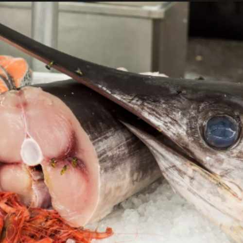 poisson espadon dakar senegal chez tagrih