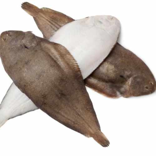 poisson sole dakar senegal chez tagrih